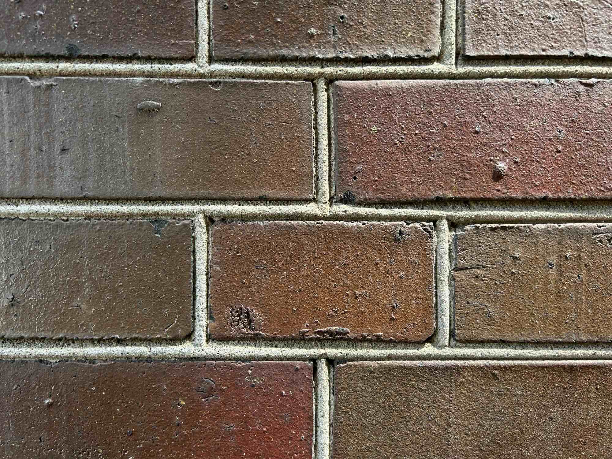 磁器タイルに専用クリヤーを塗装したら、目地が黒く見えた